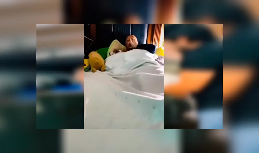 Desliza las imágenes hacia la izquierda para apreciar la verdadera amistad entre un padre y su nueva mascota.