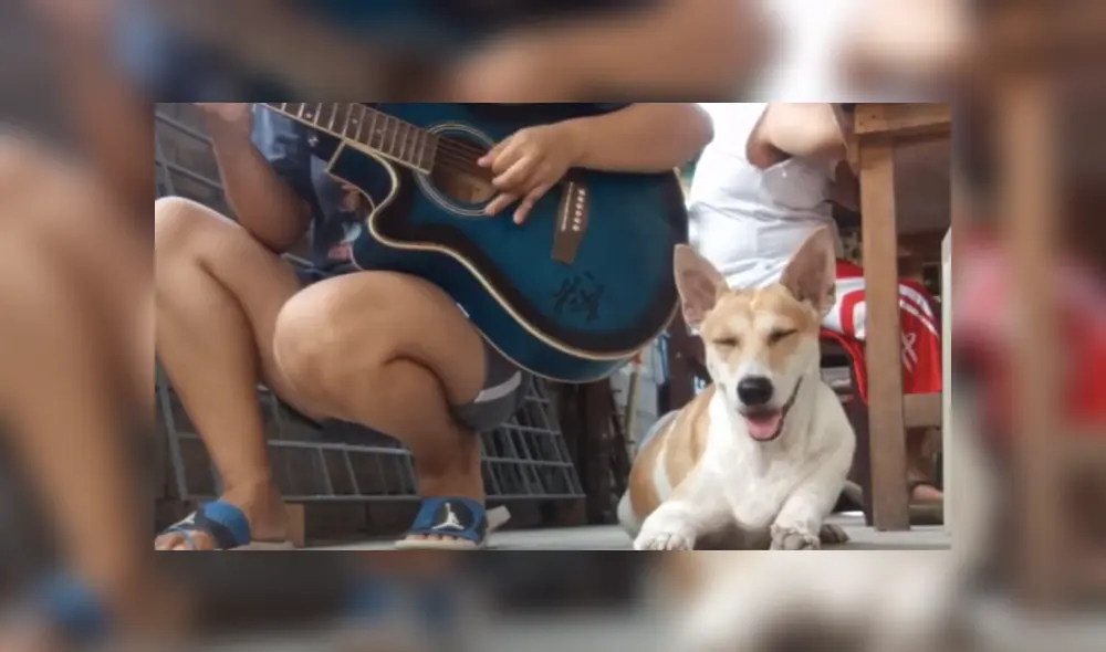 Desliza para ver los detalles del video viral publicado en TikTok. Foto: Captura. Desliza para ver los detalles del video viral publicado en TikTok. Foto: Captura.