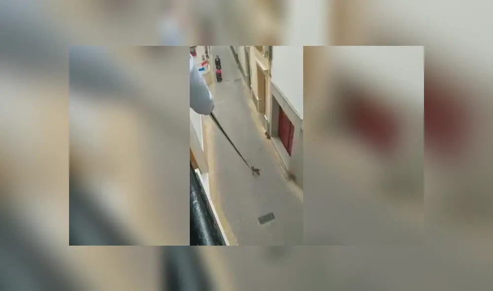 Desliza las imágenes hacia la izquierda para conocer cómo un hombre paseó a su perro desde su balcón. Desliza las imágenes hacia la izquierda para conocer cómo un hombre paseó a su perro desde su balcón.