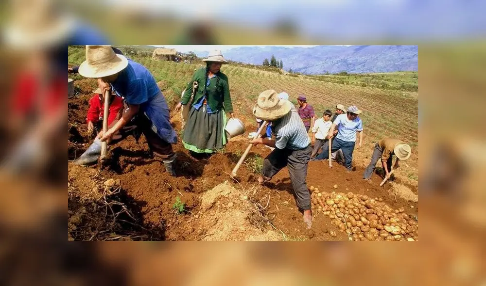 Minagri anuncia que beneficiarios de bono rural de 760 soles se dará a conocer a través de mensaje de textos. Foto: Revista Agronoticias. Minagri anuncia que beneficiarios de bono rural de 760 soles se dará a conocer a través de mensaje de textos. Foto: Revista Agronoticias.