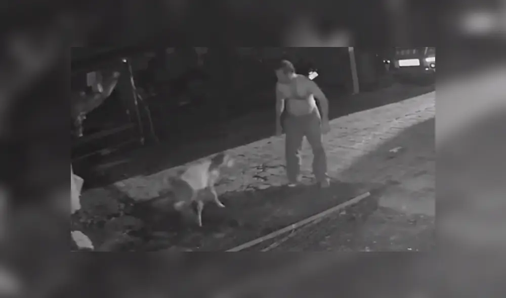 Finalmente, ve que el ternero fue soltado por el depredador, que huyó del lugar. Finalmente, ve que el ternero fue soltado por el depredador, que huyó del lugar.