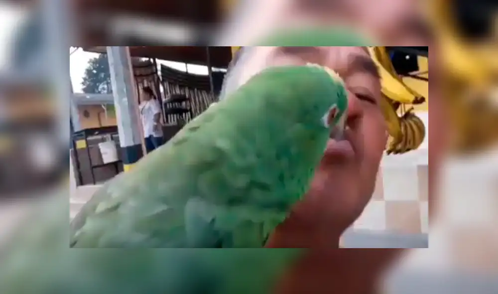 Desliza para ver los detalles del video viral publicado en Facebook. Foto: Captura.