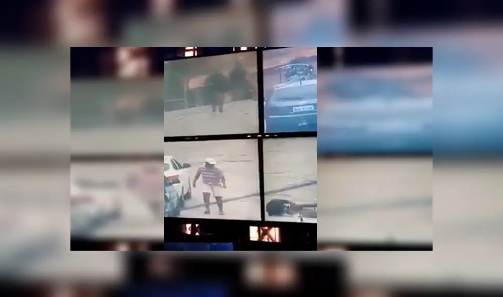 Facebook viral: Cámaras captan a perro que detuvo a ladrón que intentaba escapar de policía 