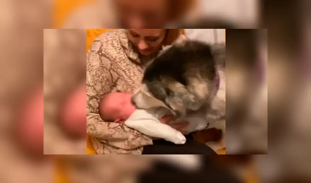 Desliza a la izquierda para ver el gesto que conmovió a los usuarios de Facebook. Foto: Captura. Desliza a la izquierda para ver el gesto que conmovió a los usuarios de Facebook. Foto: Captura.