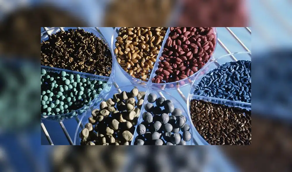 El congresista Alexander Lozano planteó la iniciativa para proteger la biodiversidad y la soberanía agraria. Foto: Archivo.