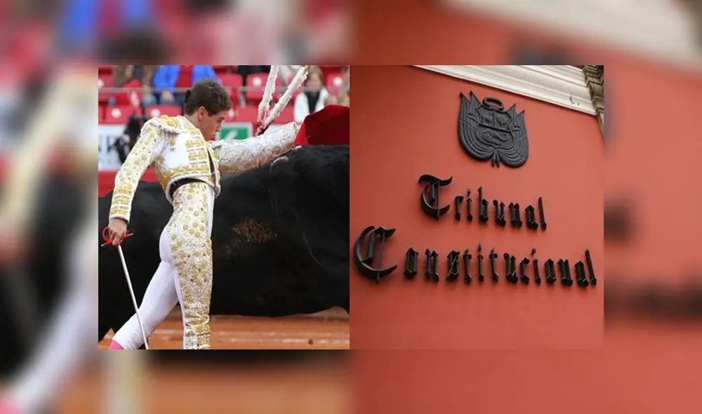 Los magistrados del TC que votaron a favor de la tauromaquía y gallística. Los magistrados del TC que votaron a favor de la tauromaquía y gallística.