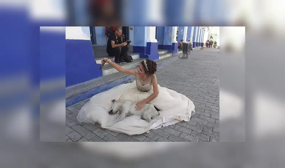 Desliza las imágenes para observar la acción de un perro al percatarse que una joven tenía una sesión de fotos.