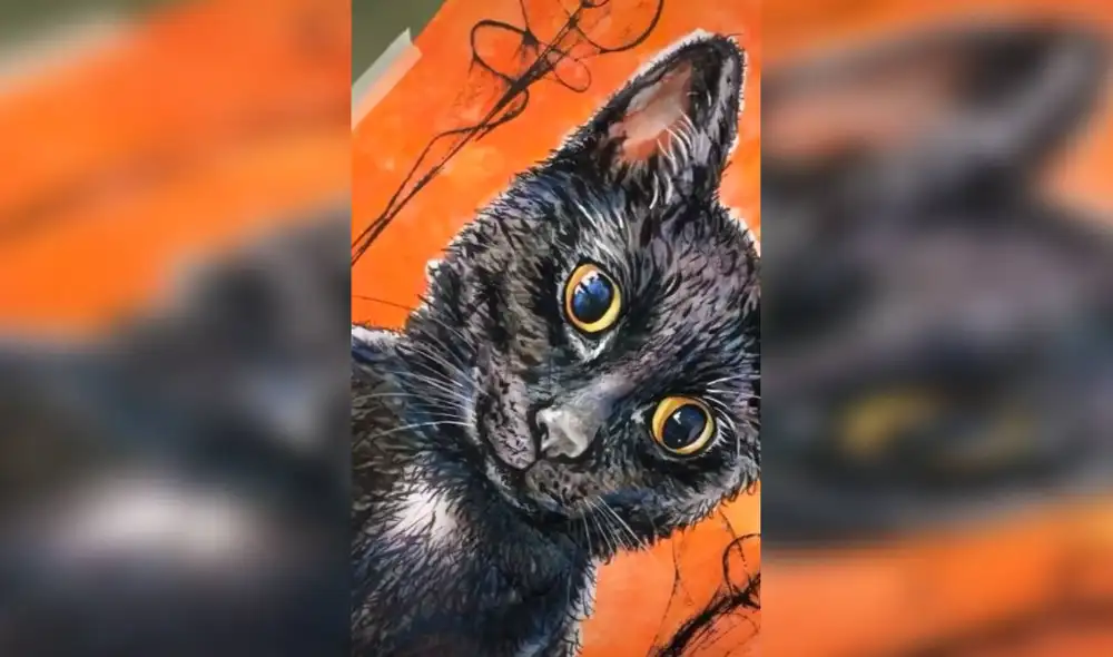 Desliza las imágenes para apreciar el talento de una joven al inspirarse en su felino para hacer una obra de arte. Foto: captura de Facebook