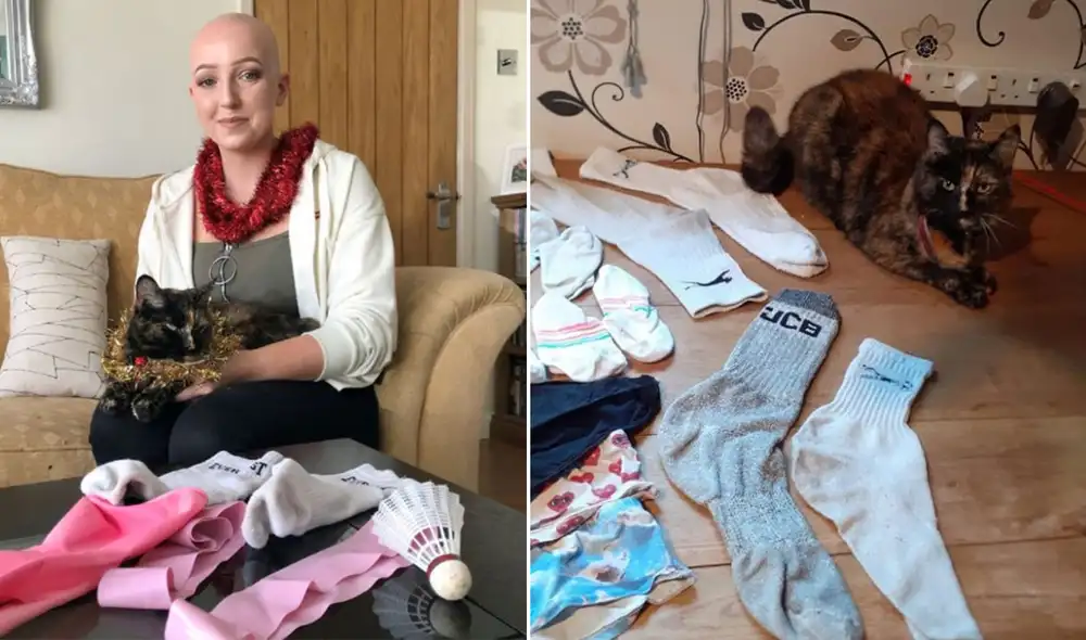 Desliza hacia la izquierda para ver más fotos de los peculiares 'tesoros' que acumula esta traviesa gatita. Foto: Facebook