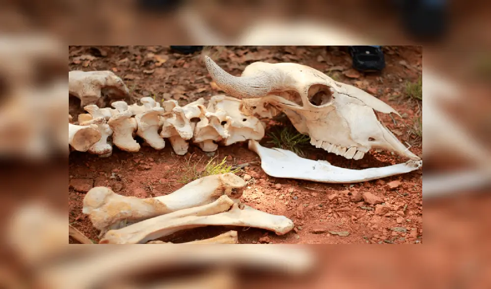 Chile atraviesa la peor ‘megasequía’ de su historia