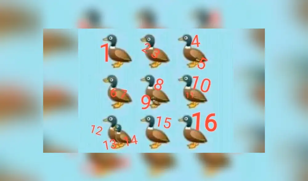 Desliza las imágenes hacia la izquierda para conocer la verdadera respuesta de este nuevo reto visual.