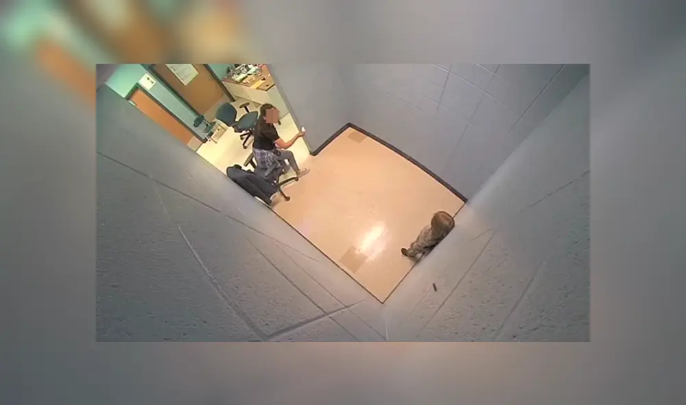 Auxiliar escolar se suicida al revelarse que agredía a estudiantes [VIDEO]