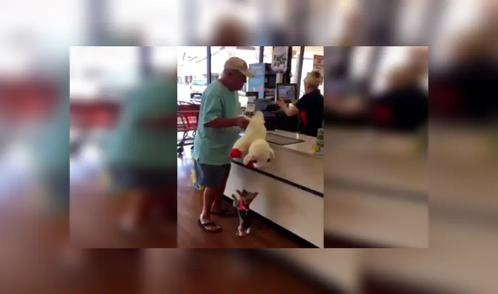 Desliza las imágenes hacia la izquierda para conocer el amoroso comportamiento de una perrita cuando recibe un regalo.