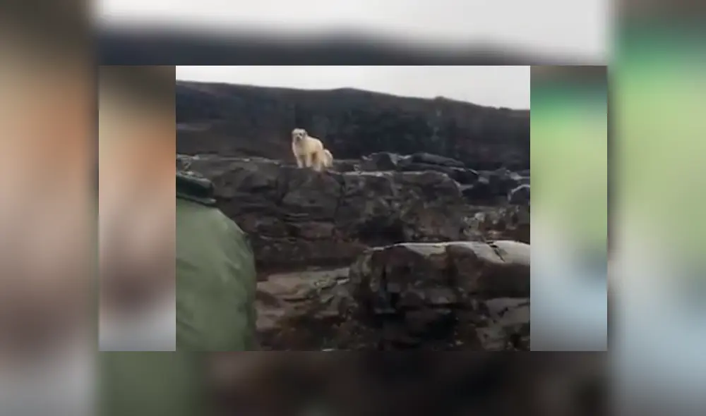 Un grupo de hombres detuvieron su pesca para rescatar a criatura.