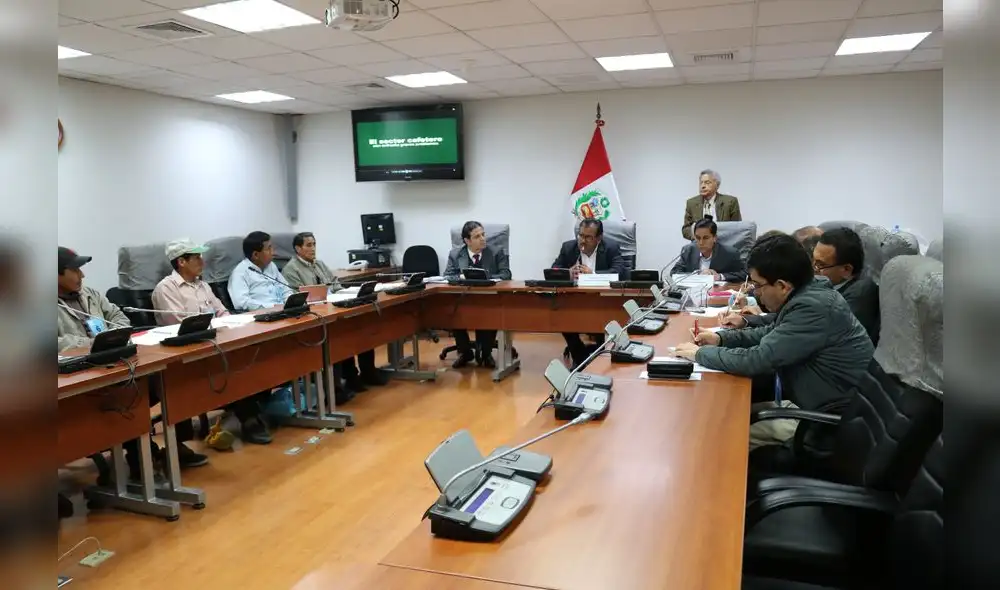 Cafetaleros de la selva central temen perder sus tierras por deudas