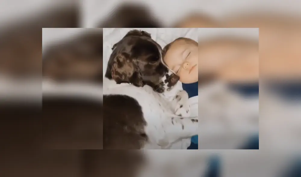 Desliza las imágenes para ver más detalles sobre esta escena que es viral en YouTube.