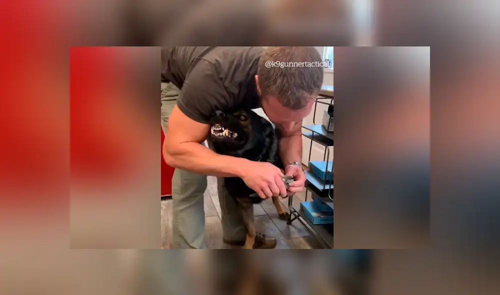 Desliza para ver los momentos más divertidos del video que se hizo viral en Facebook. Desliza para ver los momentos más divertidos del video que se hizo viral en Facebook.