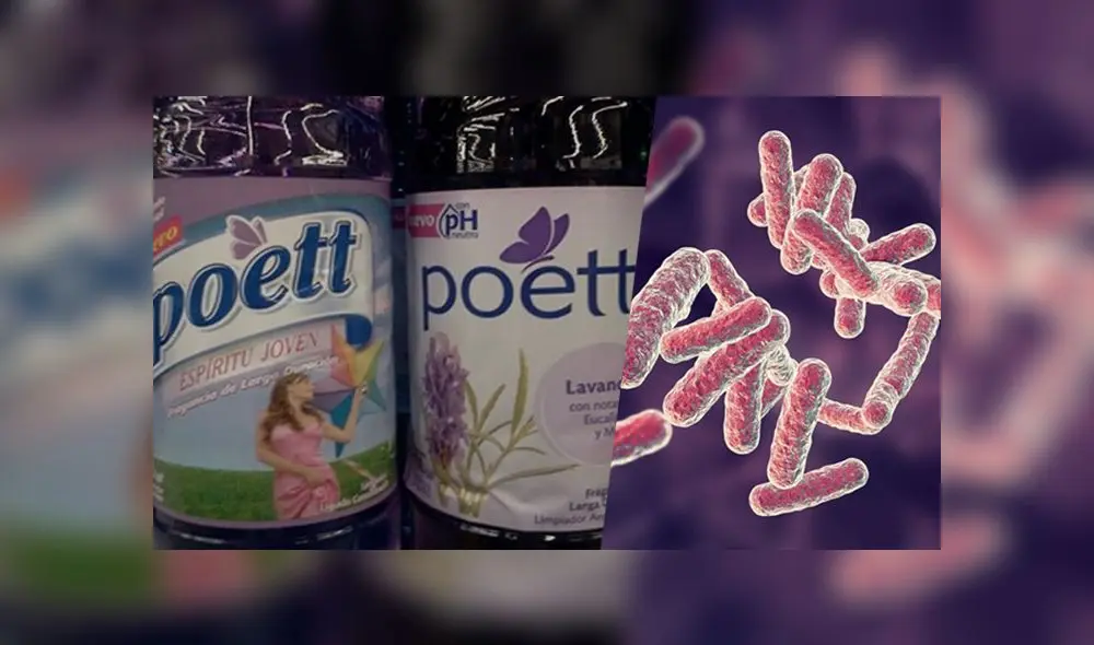 Las bacterias pseudomonas solo ocasionan daños graves en contacto directo con heridas de la piel. (Foto: Composición LR)