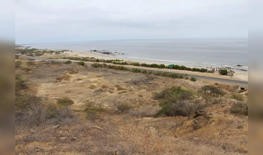 Terrenos fueron vendidos dos veces al no tener título de propiedad. Foto: Internet