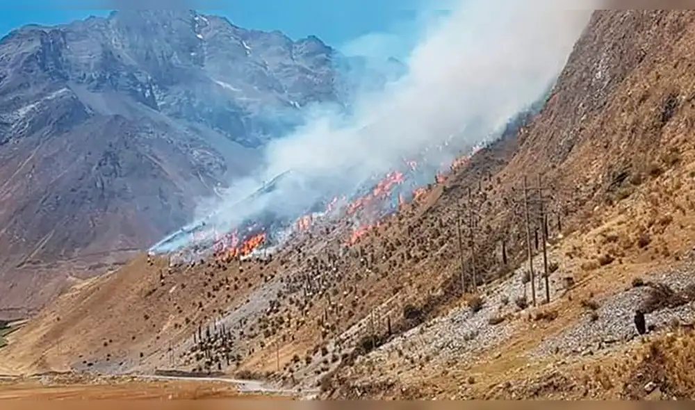 Llamado de atención hacia responsables de atentar contra el medio ambiente. Llamado de atención hacia responsables de atentar contra el medio ambiente.