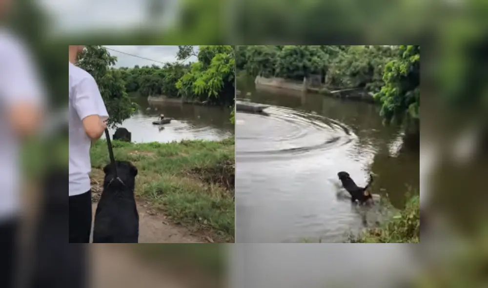 Desliza hacia la izquierda para ver más del video viral. Fotocaptura: YouTube Desliza hacia la izquierda para ver más del video viral. Fotocaptura: YouTube