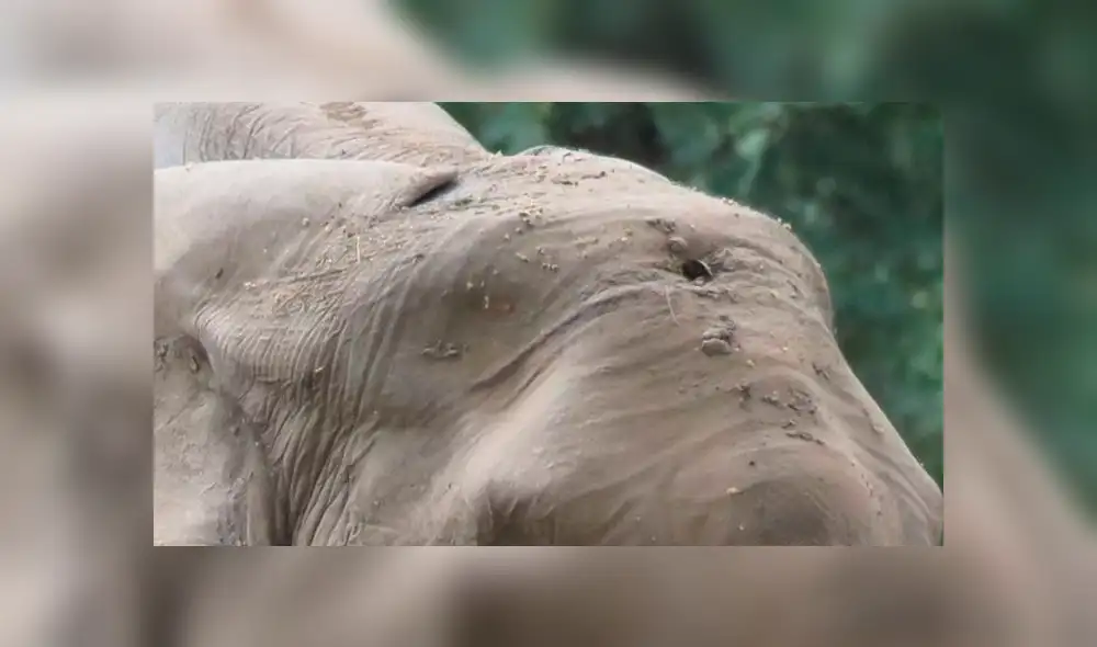 Desliza para ver las fotos que conmovieron a miles en Facebook. Foto: Captura. Desliza para ver las fotos que conmovieron a miles en Facebook. Foto: Captura.