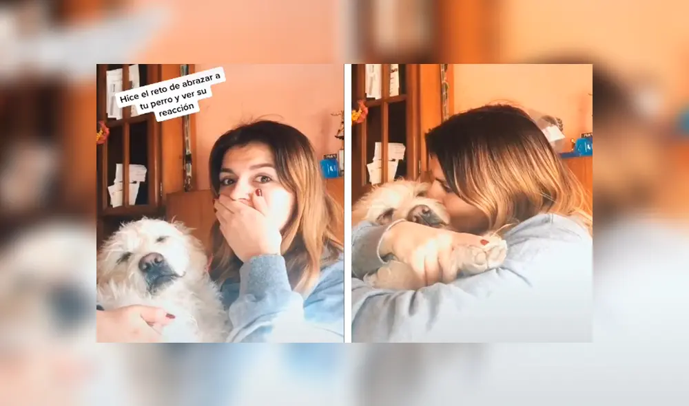 Desliza las imágenes para conocer el amoroso comportamiento de un perro al recibir un abrazo de su dueña. Foto: Captura.