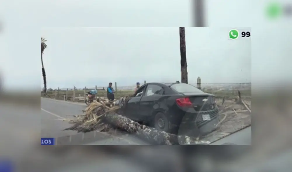 Vecinos pidieron ayuda a la Autoridad Municipal de los Pantanos de Villa Vecinos pidieron ayuda a la Autoridad Municipal de los Pantanos de Villa