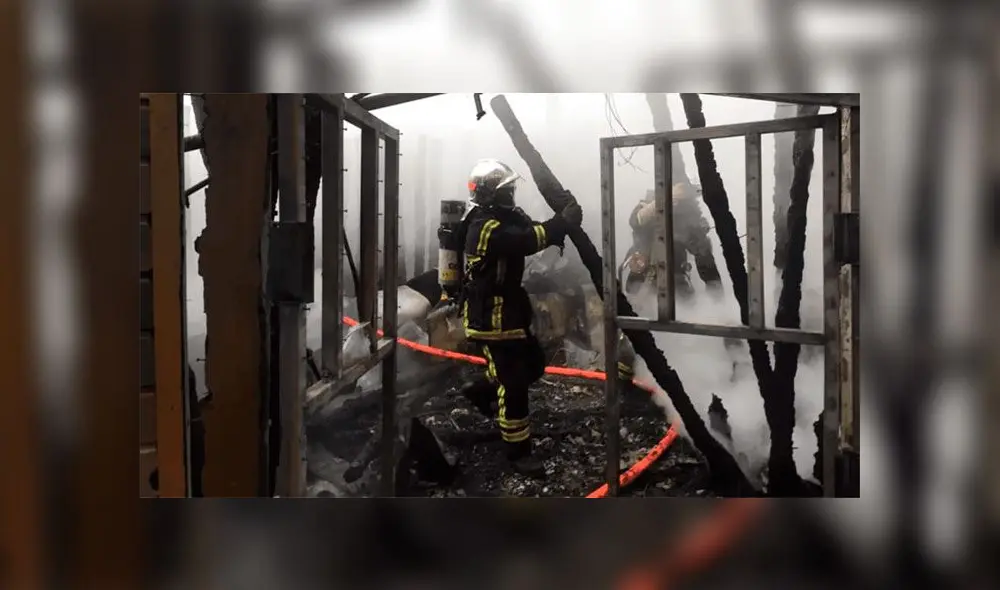 Mueren 57 animales por incendio en un zoológico de Francia