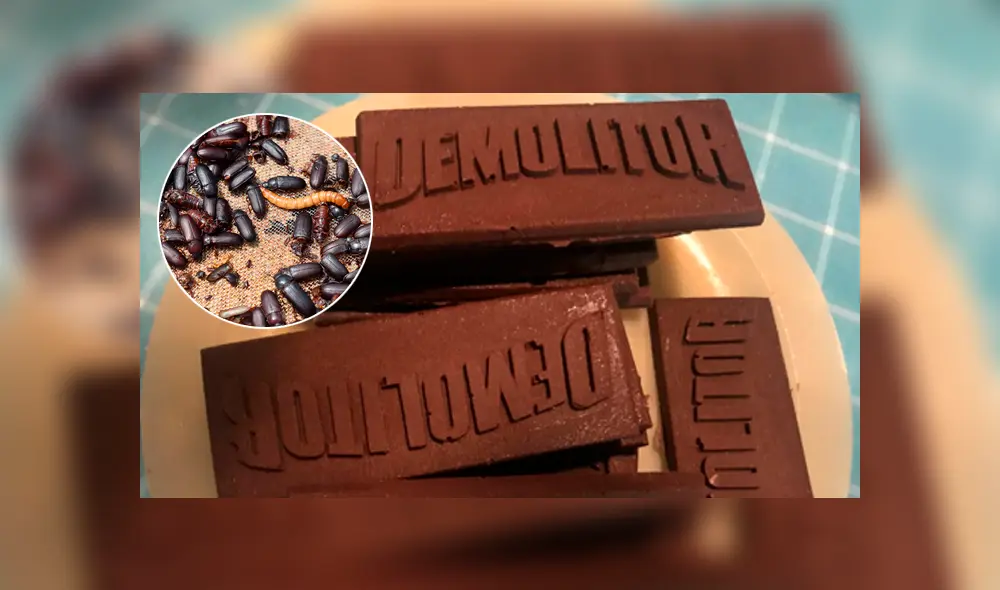 UNALM: Crean barra proteica a base de insecto para combatir la anemia