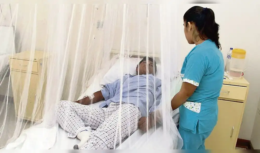 Alerta por incremento de dengue, zika y chikungunya