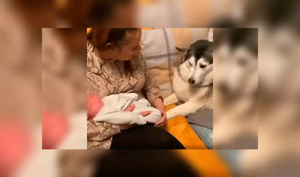 Desliza a la izquierda para ver el gesto que conmovió a los usuarios de Facebook. Foto: Captura. Desliza a la izquierda para ver el gesto que conmovió a los usuarios de Facebook. Foto: Captura.