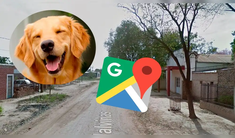 Google Maps: Captan el instante en que un perro pasa por un ‘momento íntimo’ y miles explotan de risa [FOTO]
