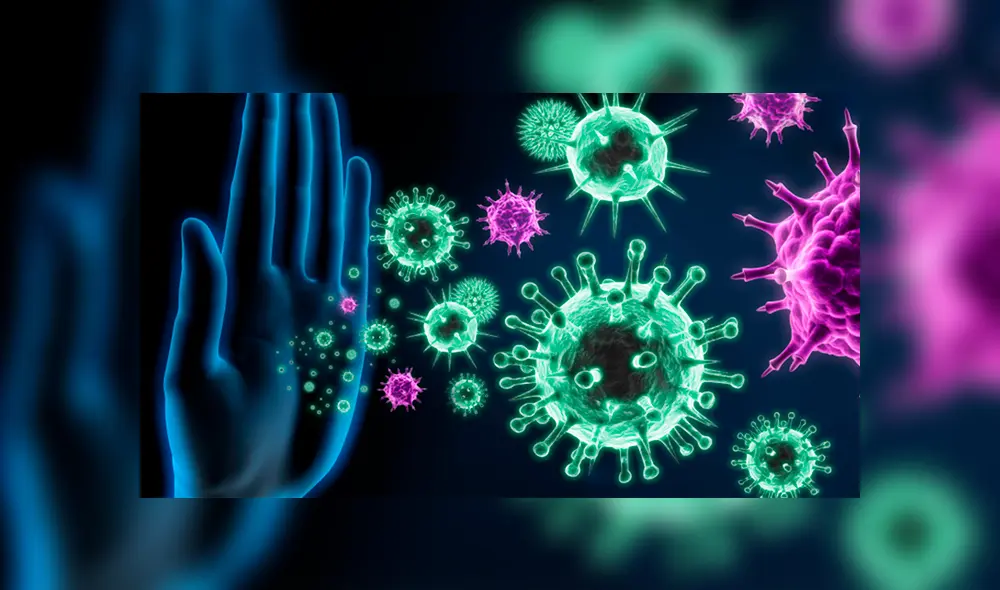 La inmunidad innata es aquella que evolucionó hace más de 2.500 millones de años. (Foto: Rafer)