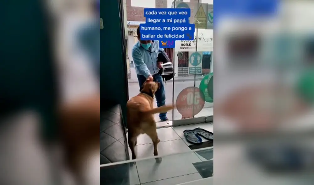 Desliza las imágenes hacia la izquierda para apreciar la emoción de un perro cuando volvió a ver a su dueño. Foto: Captura de Facebook Desliza las imágenes hacia la izquierda para apreciar la emoción de un perro cuando volvió a ver a su dueño. Foto: Captura de Facebook