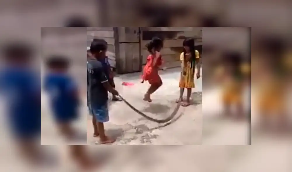 Grupo de niños fue grabado mientras se divertían en el popular juego de la cuerda con el cuerpo de una enorme serpiente. Video es viral en YouTube