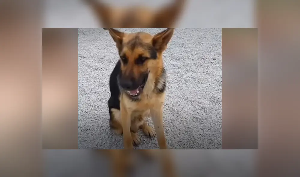 Desliza hacia la izquierda para ver las imágenes del viral de Facebook. Foto: Captura.