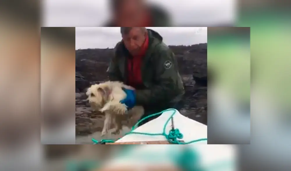 Un grupo de hombres detuvieron su pesca para rescatar a criatura.