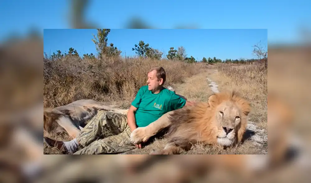 Desliza hacia la izquierda para ver la reacción de león que se volvió viral en YouTube.