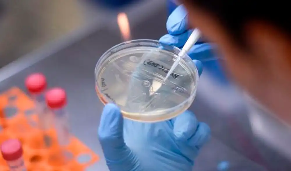 "Dados los riesgos para la salud pública de las vacunas inseguras o ineficaces, se necesita un liderazgo regulador", advierten los especialistas. Foto: EFE "Dados los riesgos para la salud pública de las vacunas inseguras o ineficaces, se necesita un liderazgo regulador", advierten los especialistas. Foto: EFE