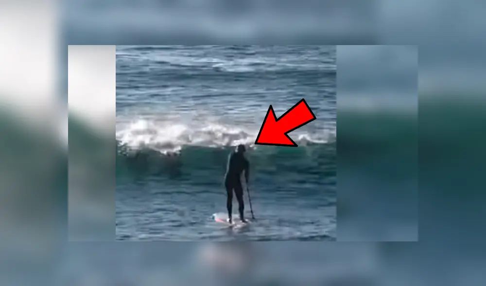 Vía YouTube. El animal salió intempestivamente del mar y se tiró contra el surfista, que iniciaba su carrera hacia el lado opuesto Vía YouTube. El animal salió intempestivamente del mar y se tiró contra el surfista, que iniciaba su carrera hacia el lado opuesto