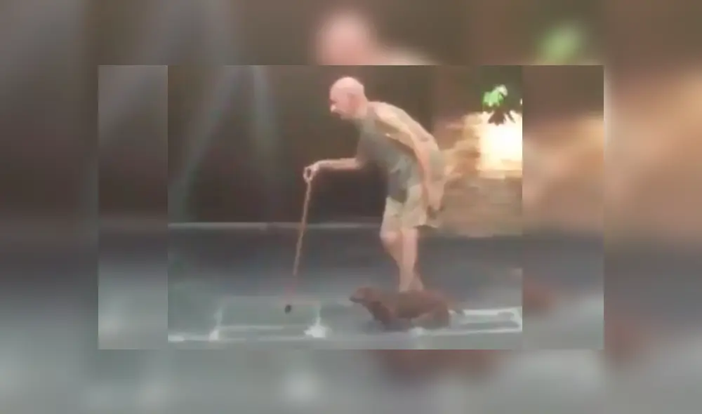 Vía Facebook. Niños captaron al anciano caminando junto a su perro por una calle y las emotivas imágenes han conmovido a cientos de internautas