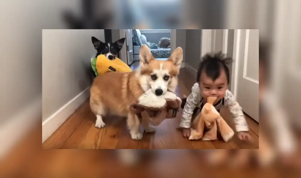 Desliza hacia la izquierda para ver más del video viral. Desliza hacia la izquierda para ver más del video viral.