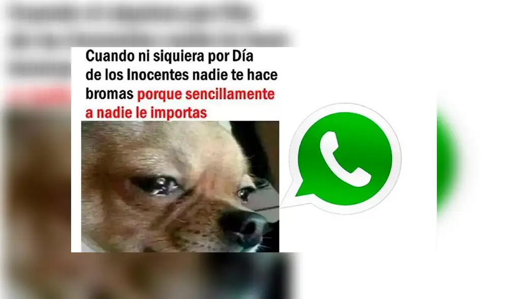 Día de los Inocentes: los mejores y más graciosos memes de las redes sociales [FOTOS]