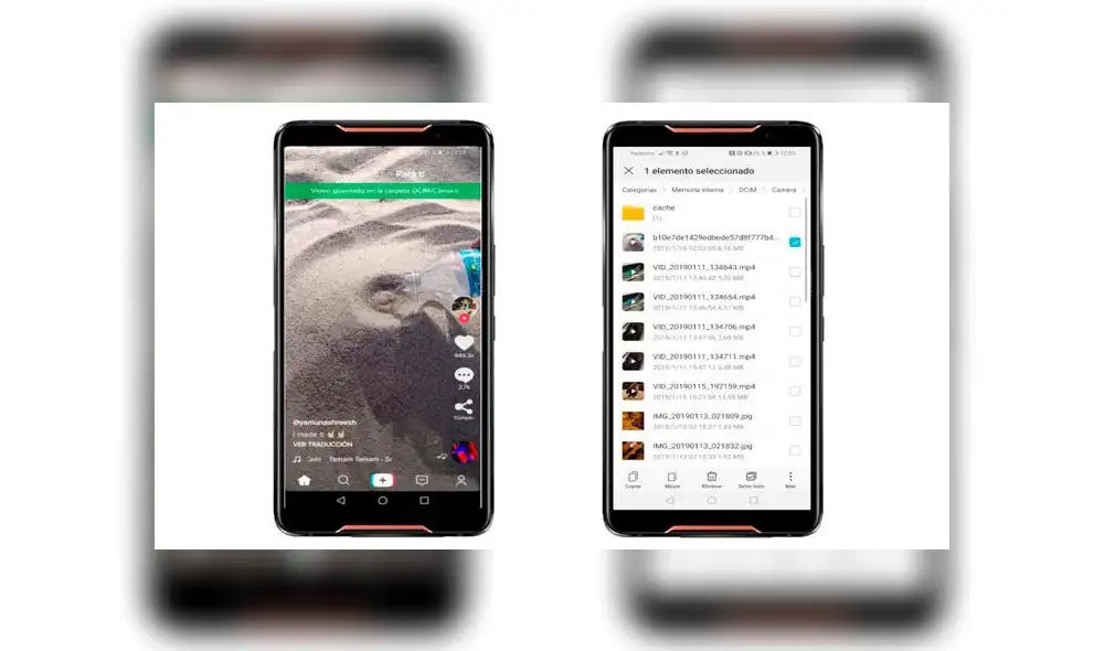 TikTok: ¿Cómo descargar videos para Android y iPhone?