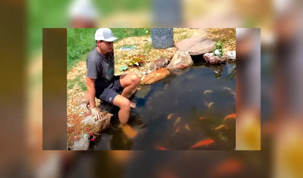 El protagonista del video viral de Facebook atrapó a una letal criatura. El protagonista del video viral de Facebook atrapó a una letal criatura.