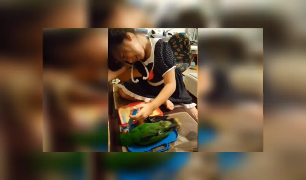 Desliza hacia la izquierda para ver más imágenes de esta tierna escena que ya es viral en YouTube.