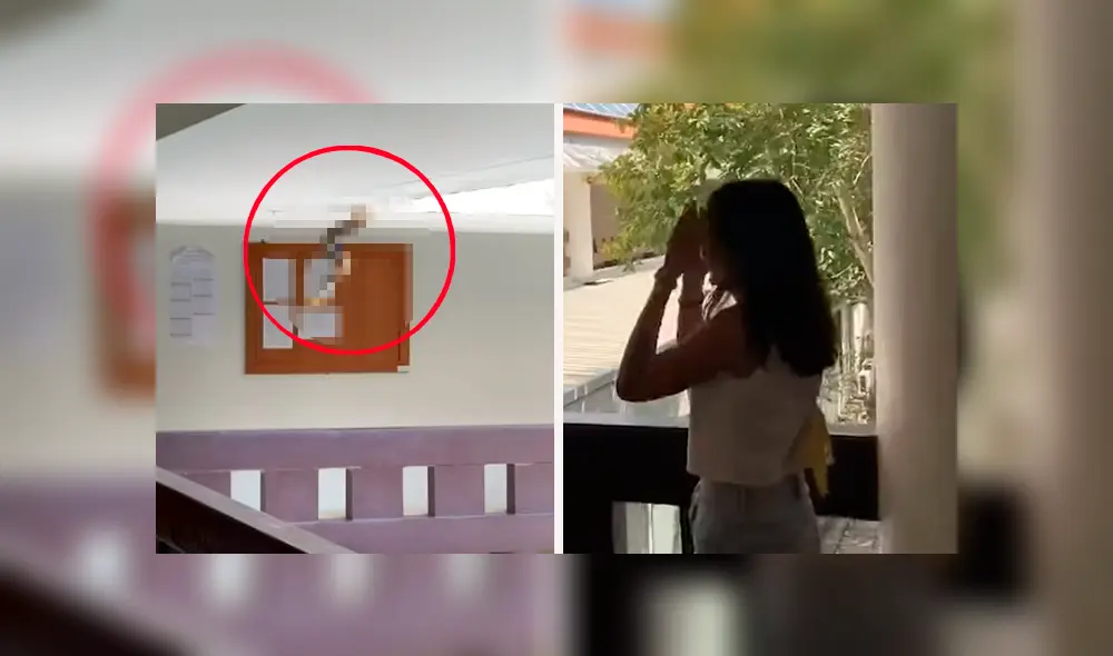 Descubre extraña criatura colgando del techo, se acerca y queda en shock con su aspecto [VIDEO]