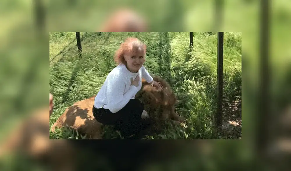 YouTube viral: Anciana detiene el carro de safari para tomarse selfie con leones y sucede lo impensado [VIDEO]