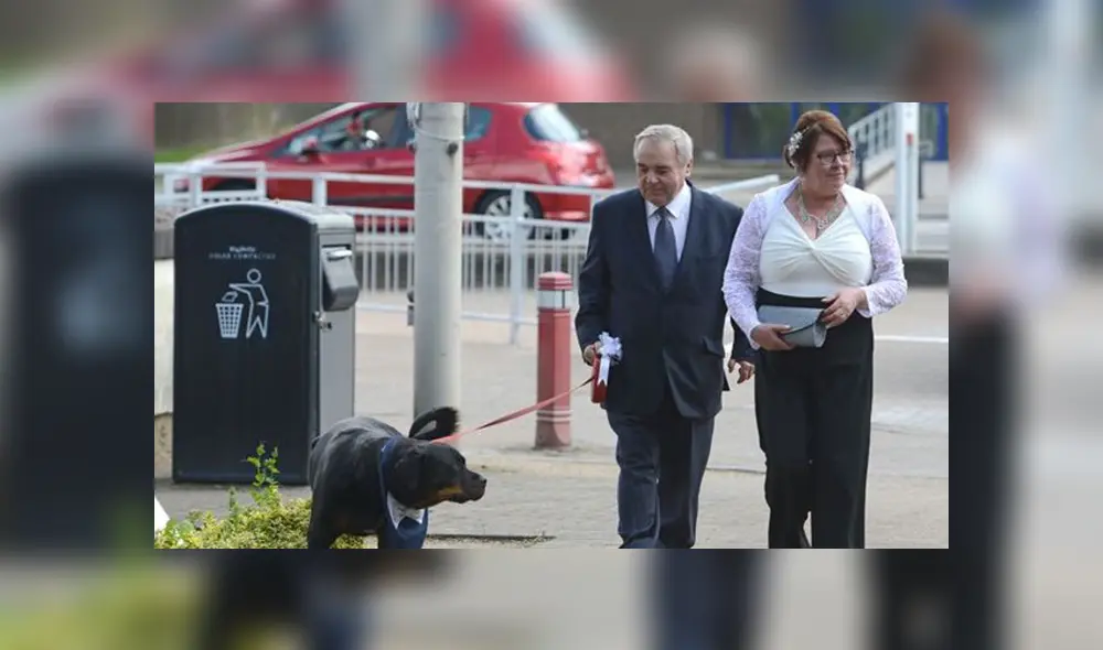 Perro testigo de la boda de sus dueños ‘se opone’ en plena ceremonia [VIDEO]